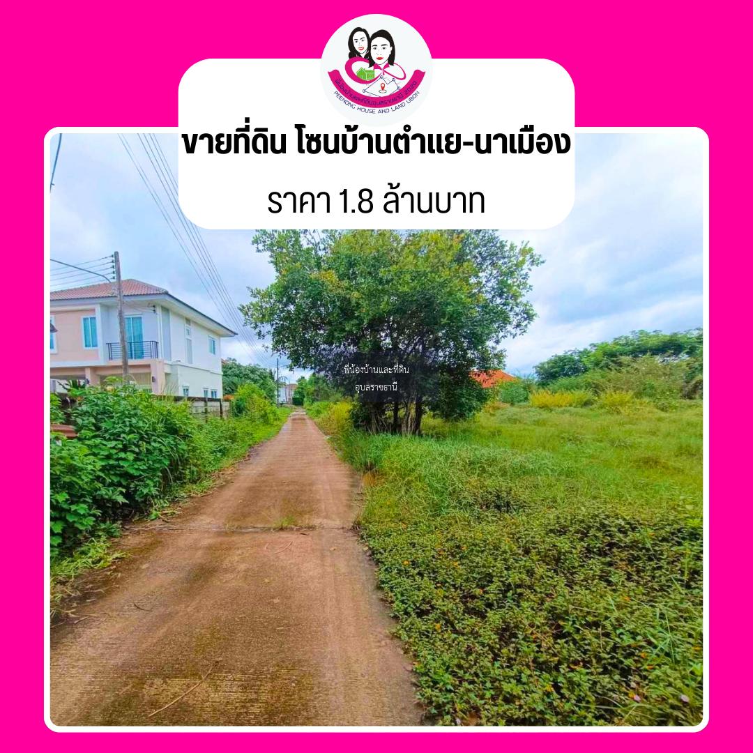 ขายที่ดิน โซนบ้านตำแย-นาเมือง 