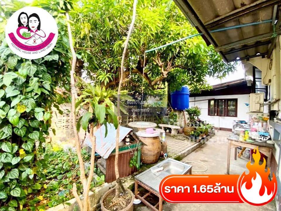 ขายบ้านจัดสรรค์เดี่ยว บ้านปูนชั้นเดียว ยกพื้นสูง - หมู่บ้านปิ่นดาว