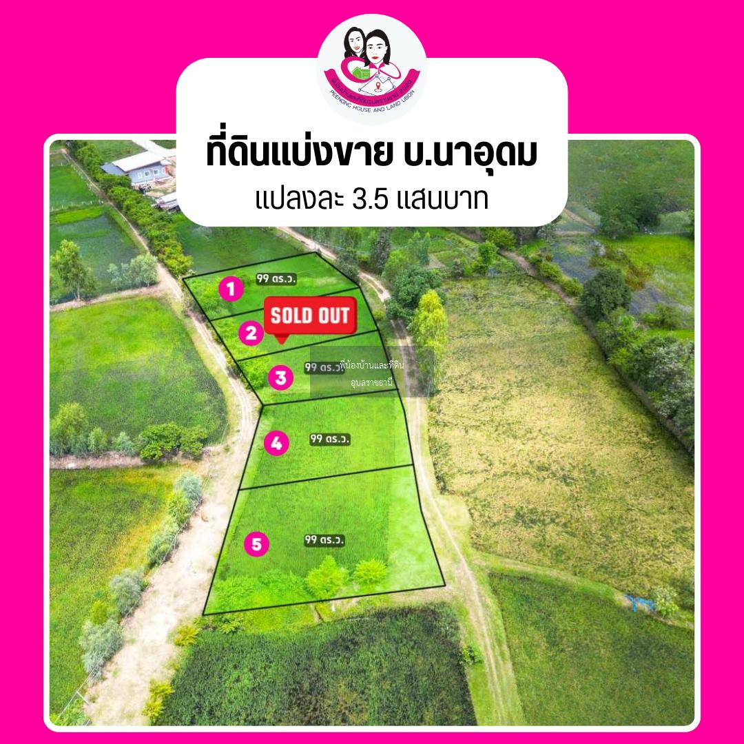 ที่ดินเปล่าแบ่งขาย โซนบ้านนาอุดม