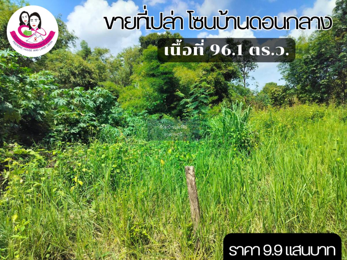 ขายที่ดินเปล่า โซนบ้านดอนกลาง