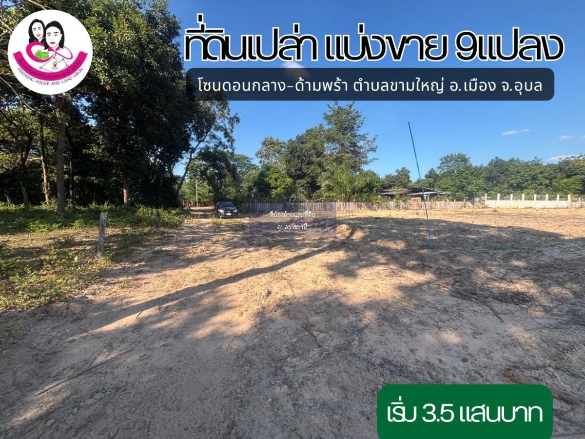 ที่ดิน เขตตำบลขามใหญ่. อำเภอเมือง ฝั่งโชว์รูมรถยนต์