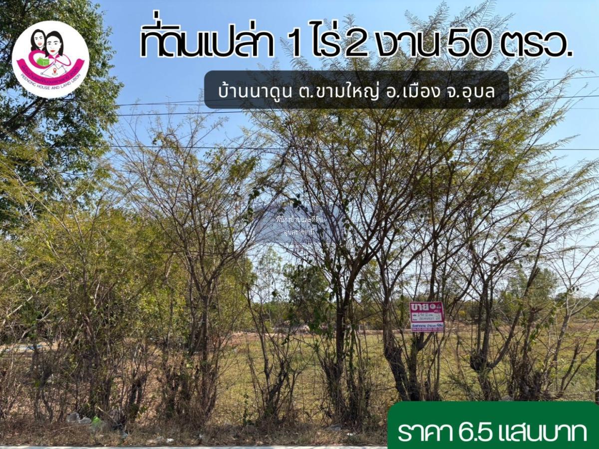 ขายที่ดิน บ้านนาดูน ต.ขามใหญ่ อ.เมือง จ.อุบล