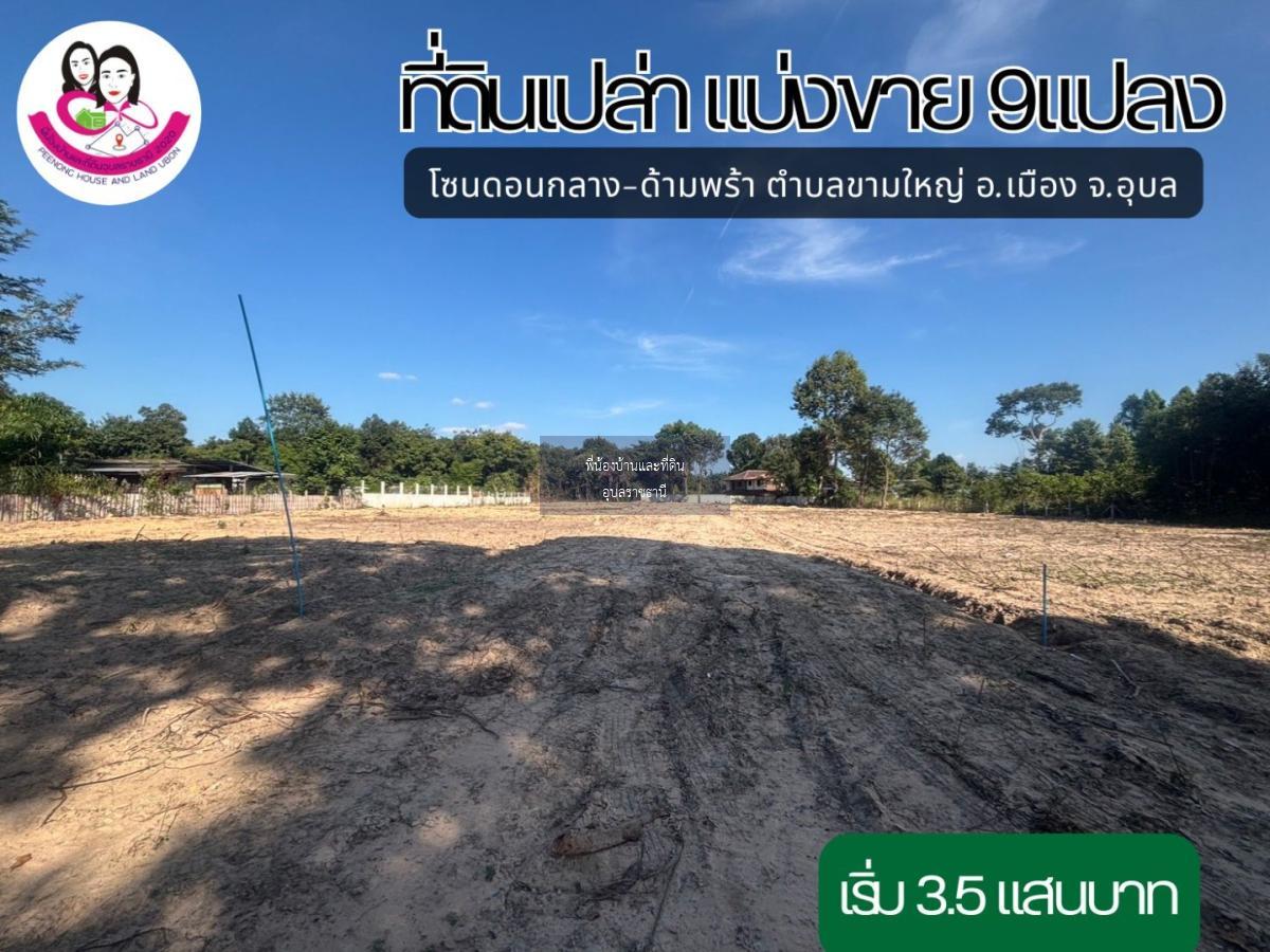 ที่ดิน เขตตำบลขามใหญ่. อำเภอเมือง ฝั่งโชว์รูมรถยนต์