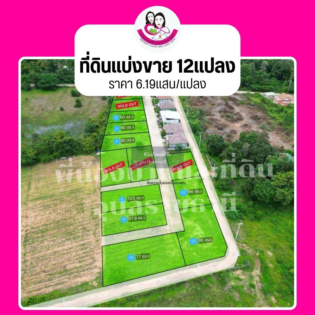 ที่ดินแบ่งขาย 12แปลง เหมาะสร้างบ้านพักอาศัย