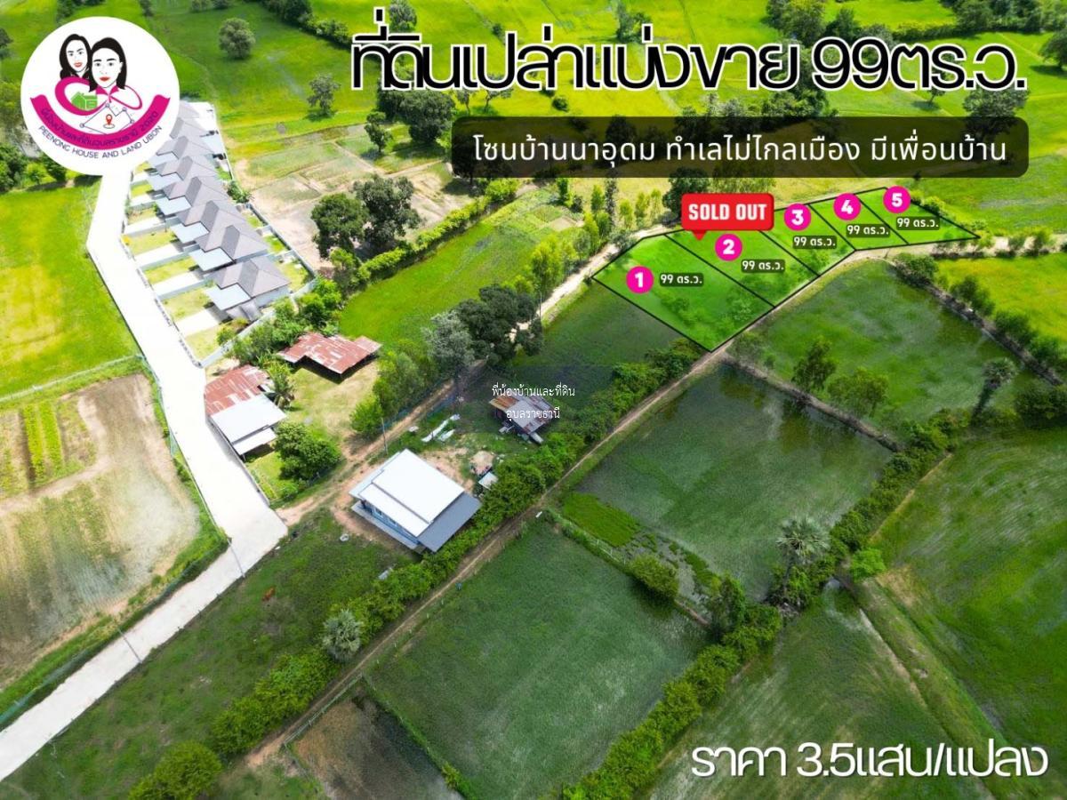 ที่ดินเปล่าแบ่งขาย โซนบ้านนาอุดม