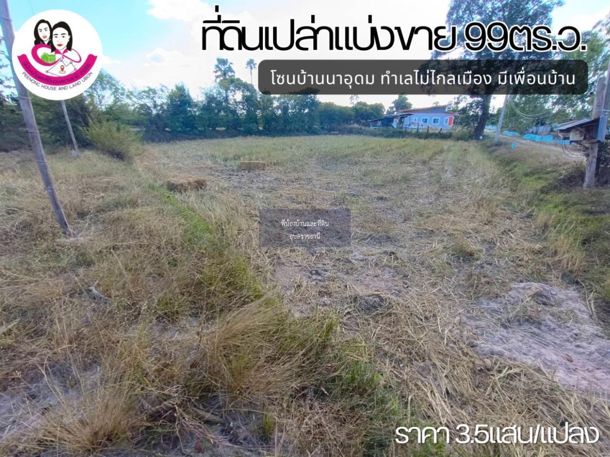 ที่ดินเปล่าแบ่งขาย โซนบ้านนาอุดม