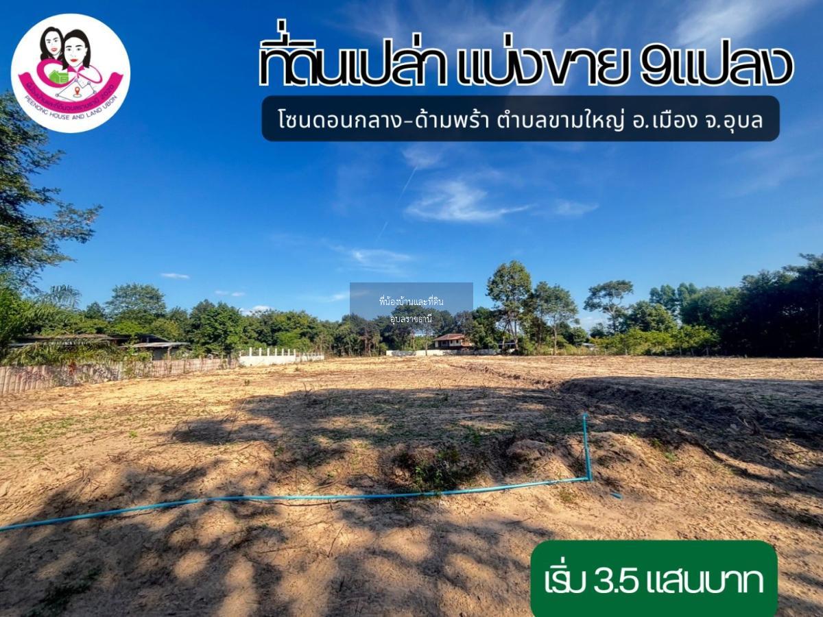 ที่ดิน เขตตำบลขามใหญ่. อำเภอเมือง ฝั่งโชว์รูมรถยนต์