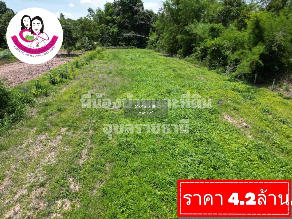 ขายที่ดินเปล่า-หลังวิทยาลัยสาธารณสุขสิรินธร - มหาวิทยาลัยอุบลราชธานี 