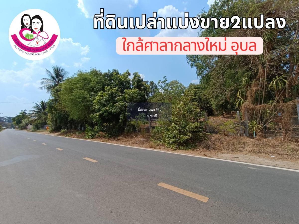 ที่ดินเปล่าแบ่งขาย 2แปลง ใกล้ศาลากลางใหม่จังหวัดอุบล