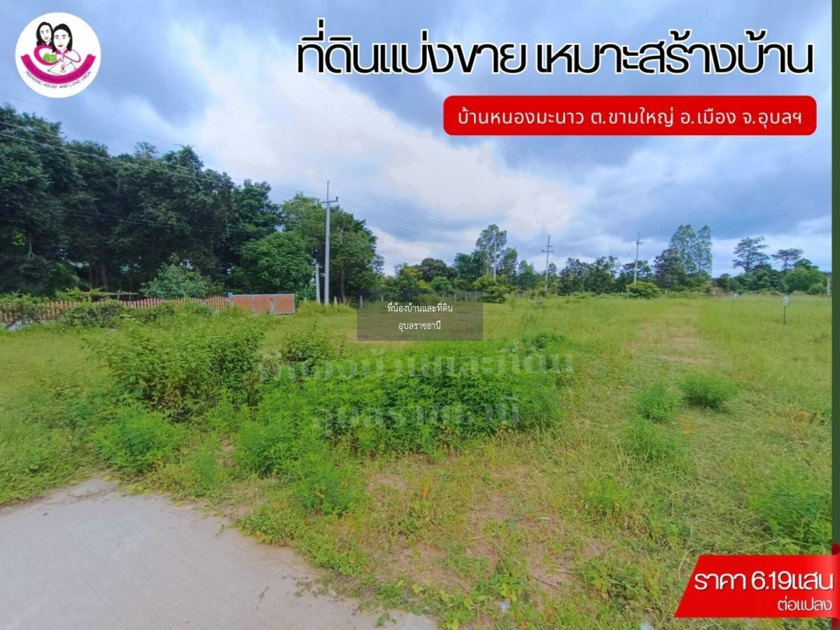 ที่ดินแบ่งขาย 12แปลง เหมาะสร้างบ้านพักอาศัย