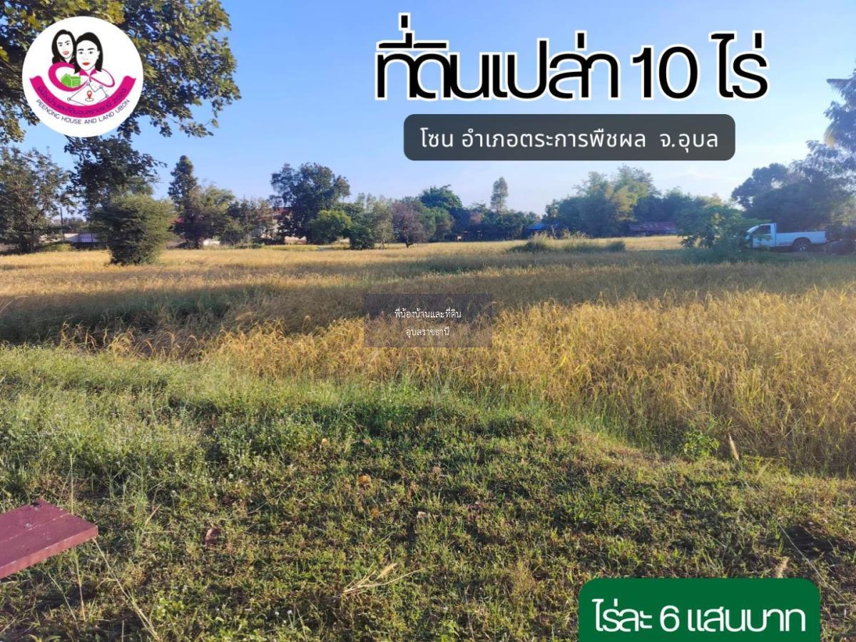 ที่ดินแปลงสวย เนื้อที่ 10ไร่ โซนตระการพืชผล จังหวัดอุบลราชธานี