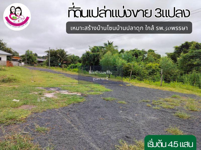 ที่ดินเปล่าแบ่งขาย 3แปลง เหมาะสร้างบ้านพักอาศัย ใกล้ตลาดสันติสุข2