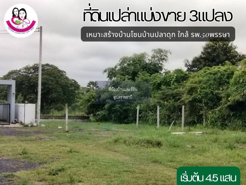 ที่ดินเปล่าแบ่งขาย 3แปลง เหมาะสร้างบ้านพักอาศัย ใกล้ตลาดสันติสุข2