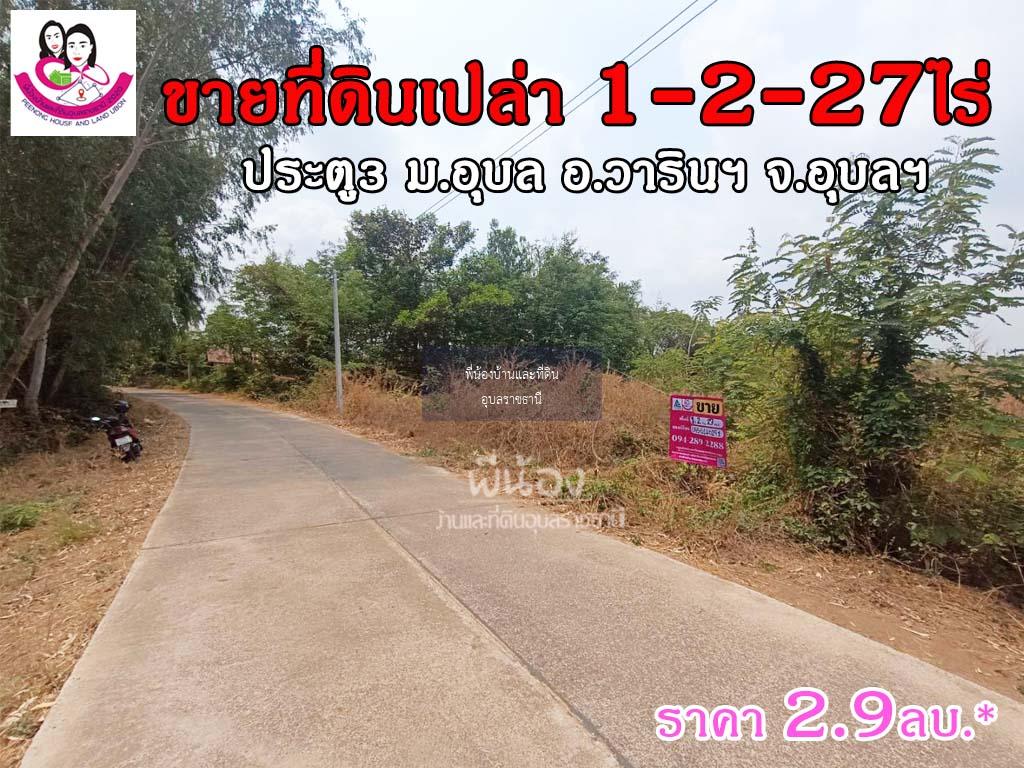 ขายที่ดินเปล่า โซนประตู3ม.อุบล 