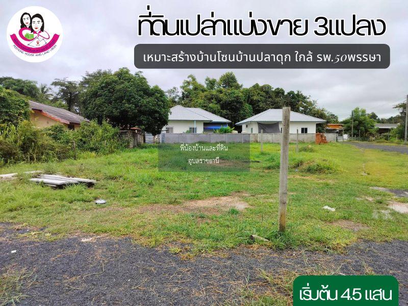 ที่ดินเปล่าแบ่งขาย 3แปลง เหมาะสร้างบ้านพักอาศัย ใกล้ตลาดสันติสุข2