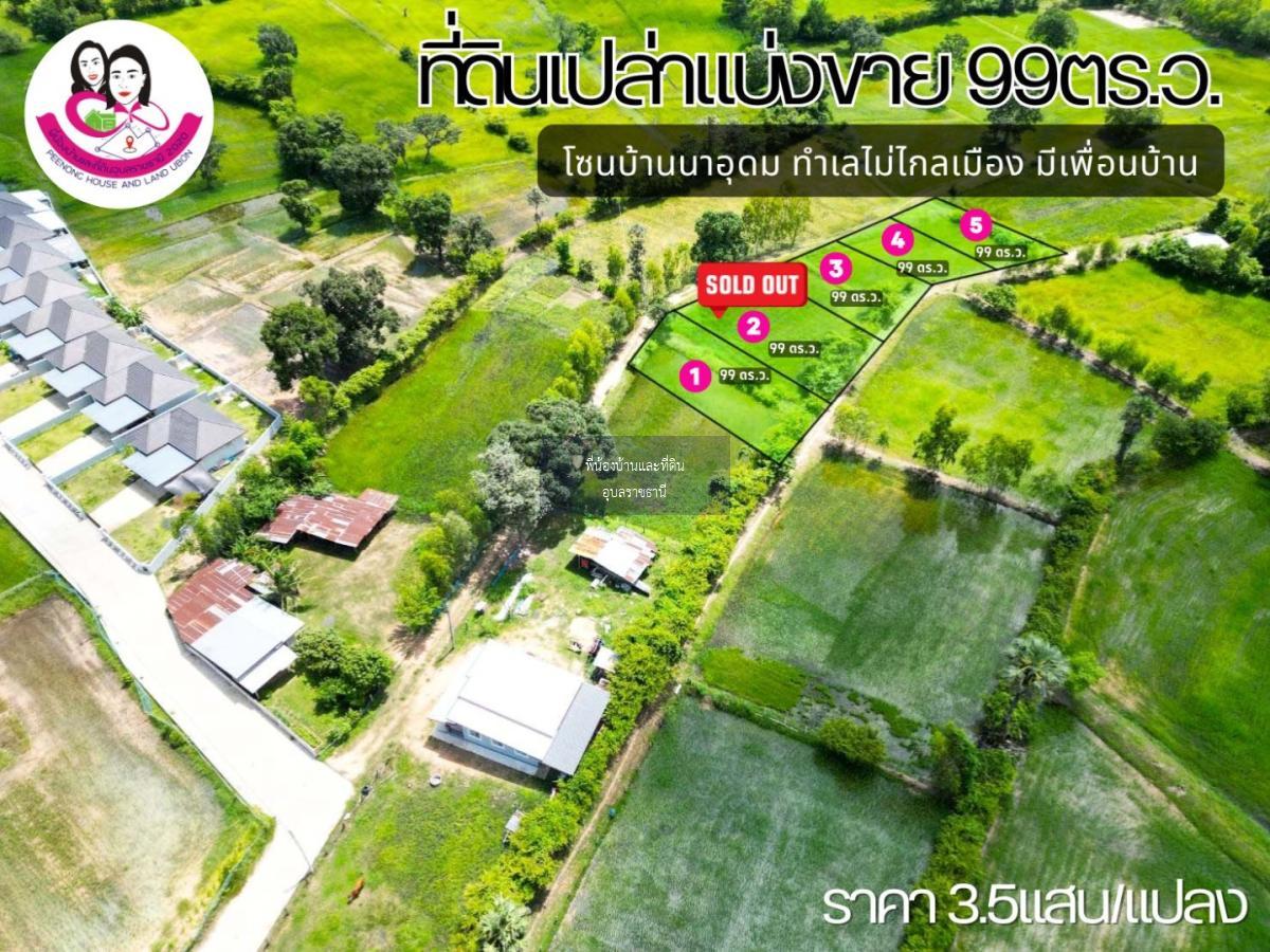 ที่ดินเปล่าแบ่งขาย โซนบ้านนาอุดม