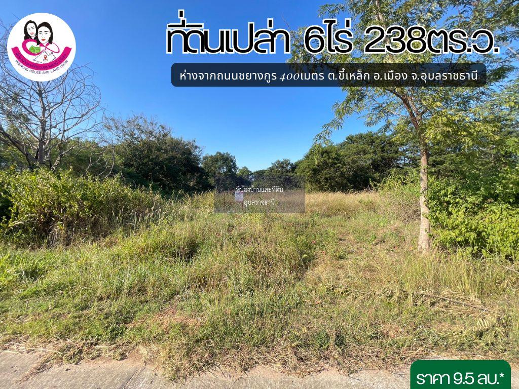 ขายที่ดินเปล่าครุฑแดง ห่างจากถนนชยางกูรเพียง 300เมตร