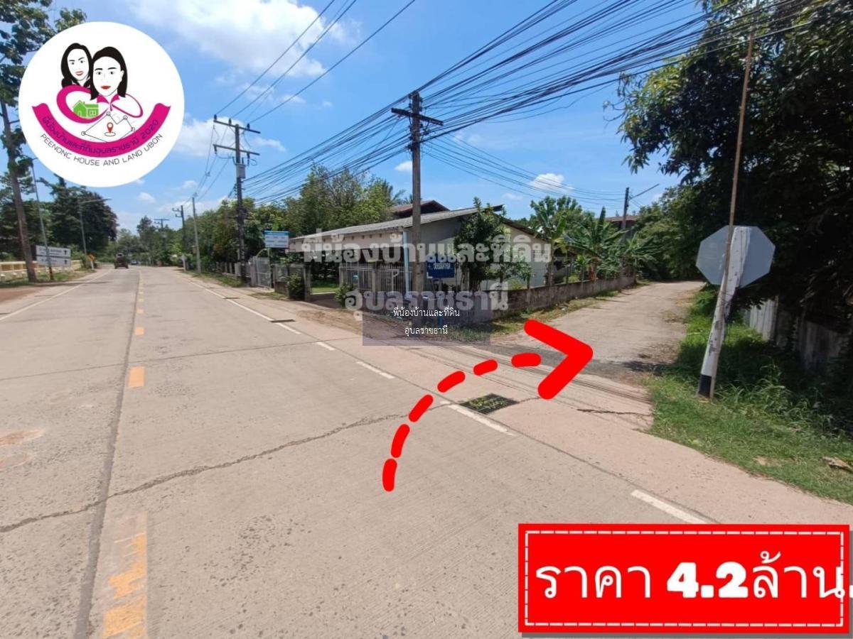 ขายที่ดินเปล่า-หลังวิทยาลัยสาธารณสุขสิรินธร - มหาวิทยาลัยอุบลราชธานี 