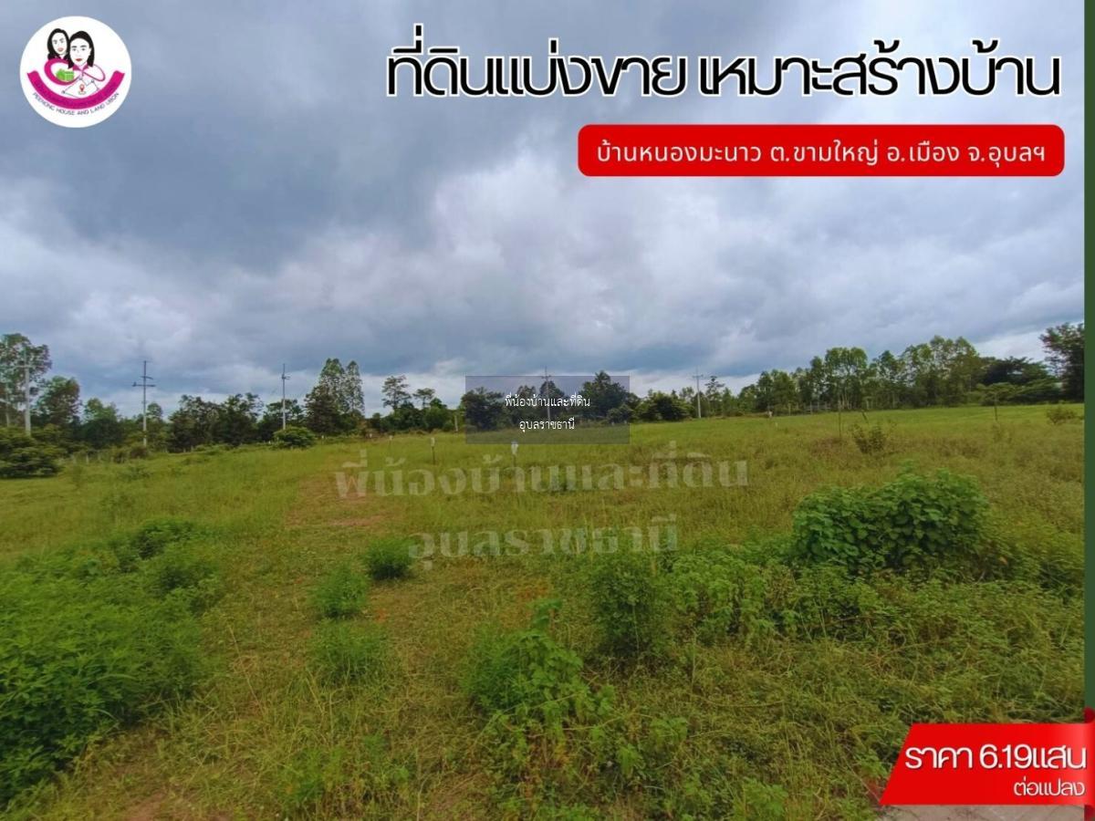 ที่ดินแบ่งขาย 12แปลง เหมาะสร้างบ้านพักอาศัย