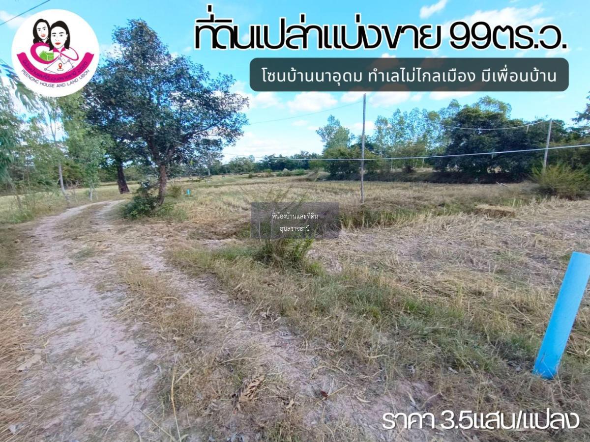 ที่ดินเปล่าแบ่งขาย โซนบ้านนาอุดม