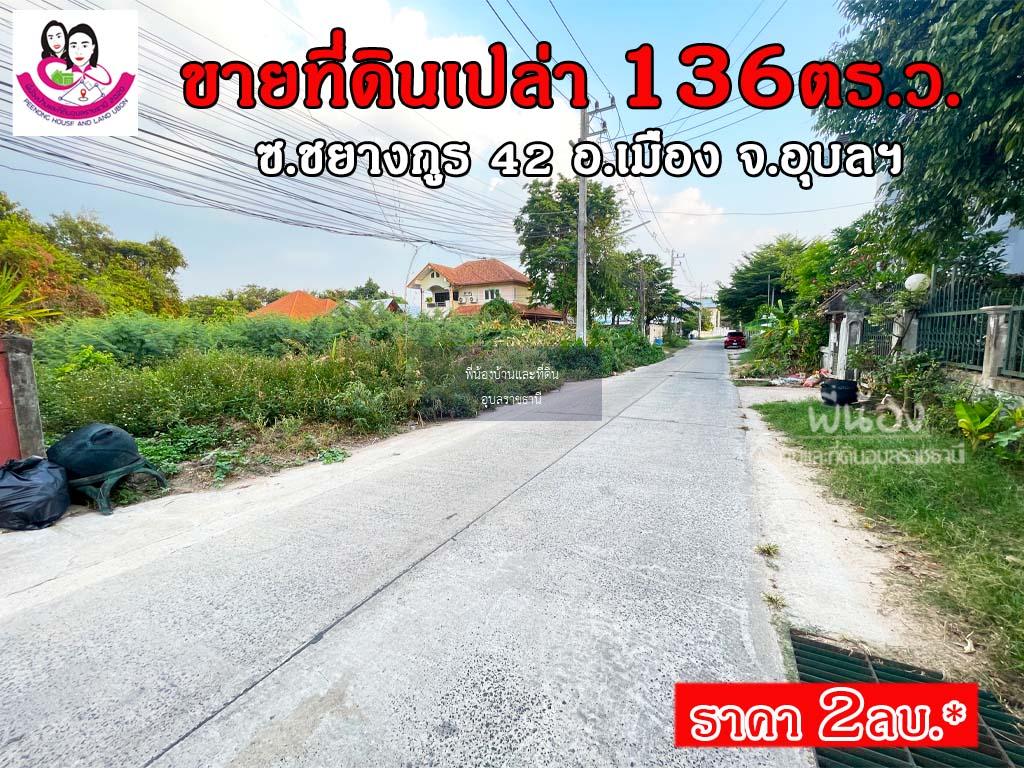 ขายที่ดินเปล่า (ในซอยมอเตอร์ไบค์) ซอยชยางกูร42 