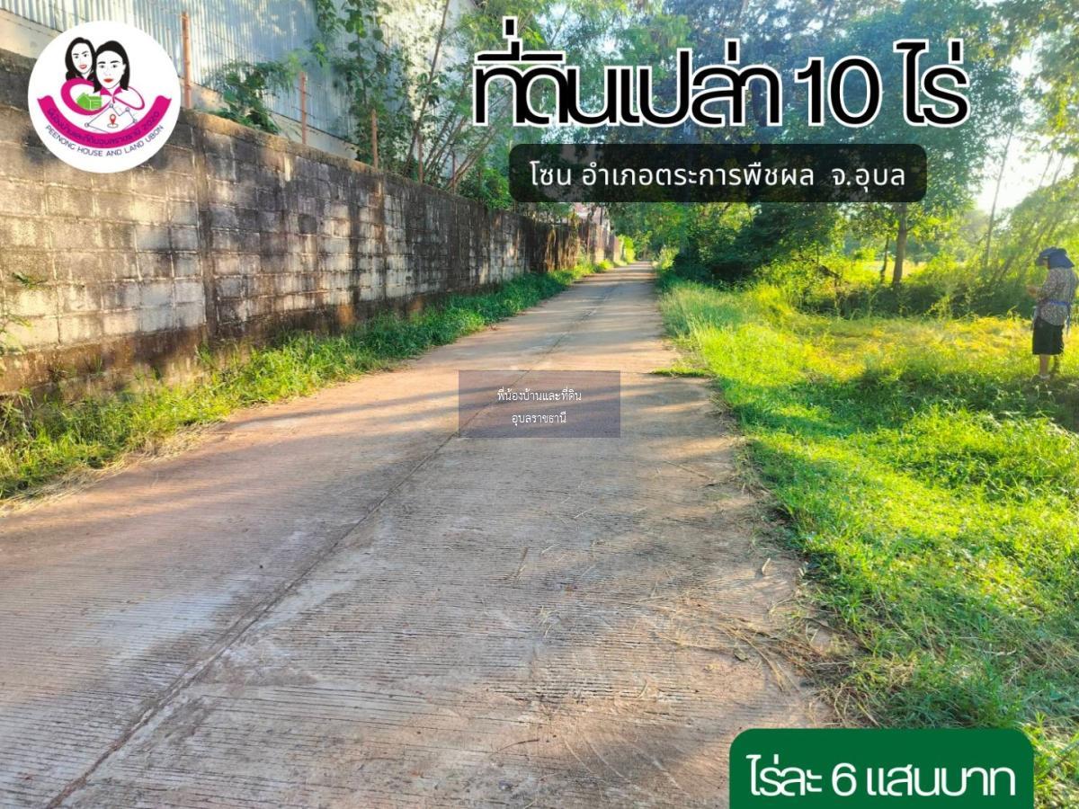 ที่ดินแปลงสวย เนื้อที่ 10ไร่ โซนตระการพืชผล จังหวัดอุบลราชธานี