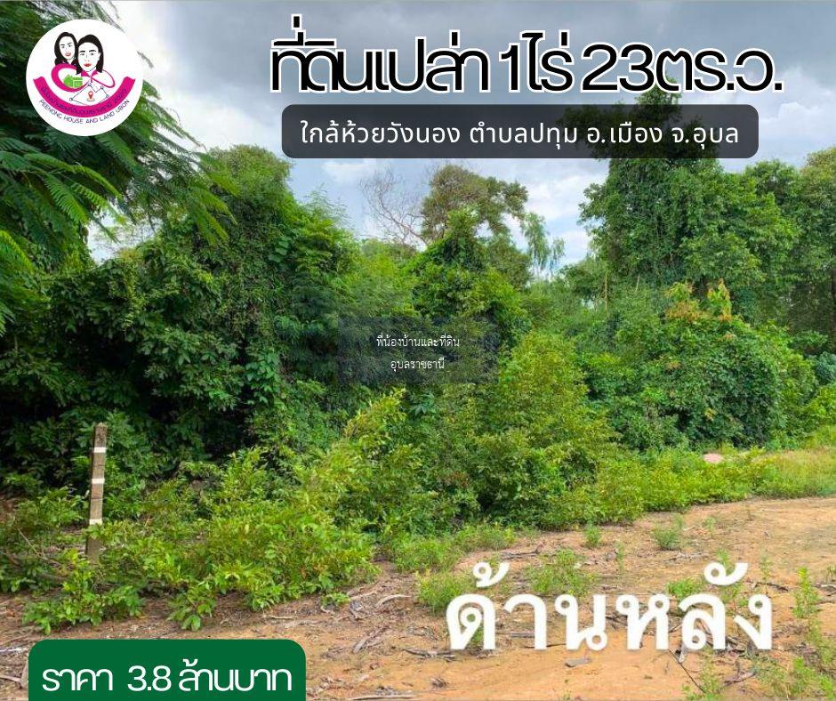 ขายที่ดินเปล่า ใกล้ห้วยวังนอง (ใกล้ตัวเมือง) 📍 ที่ตั้ง ต.ปทุม อ.เมือง จ.อุบลราชธานี