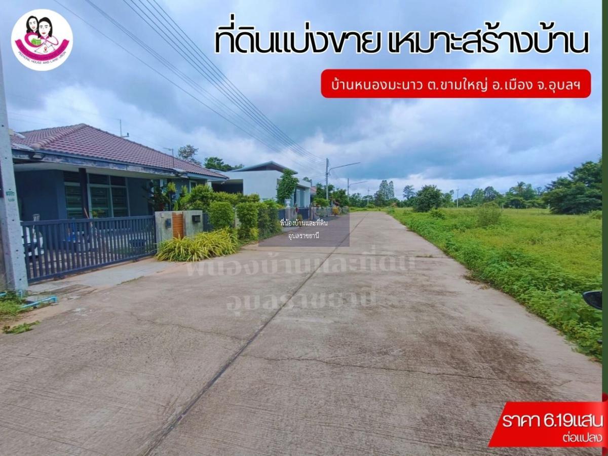 ที่ดินแบ่งขาย 12แปลง เหมาะสร้างบ้านพักอาศัย