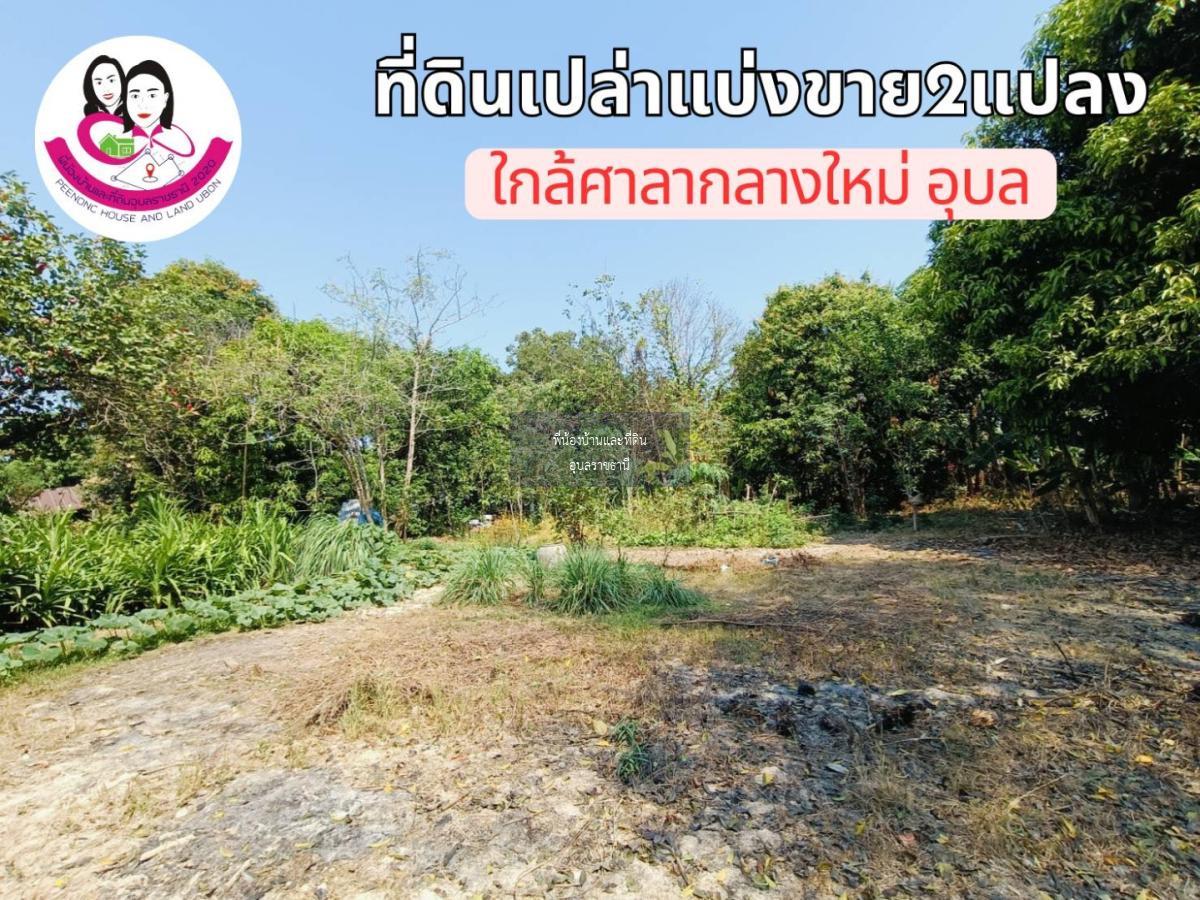 ที่ดินเปล่าแบ่งขาย 2แปลง ใกล้ศาลากลางใหม่จังหวัดอุบล