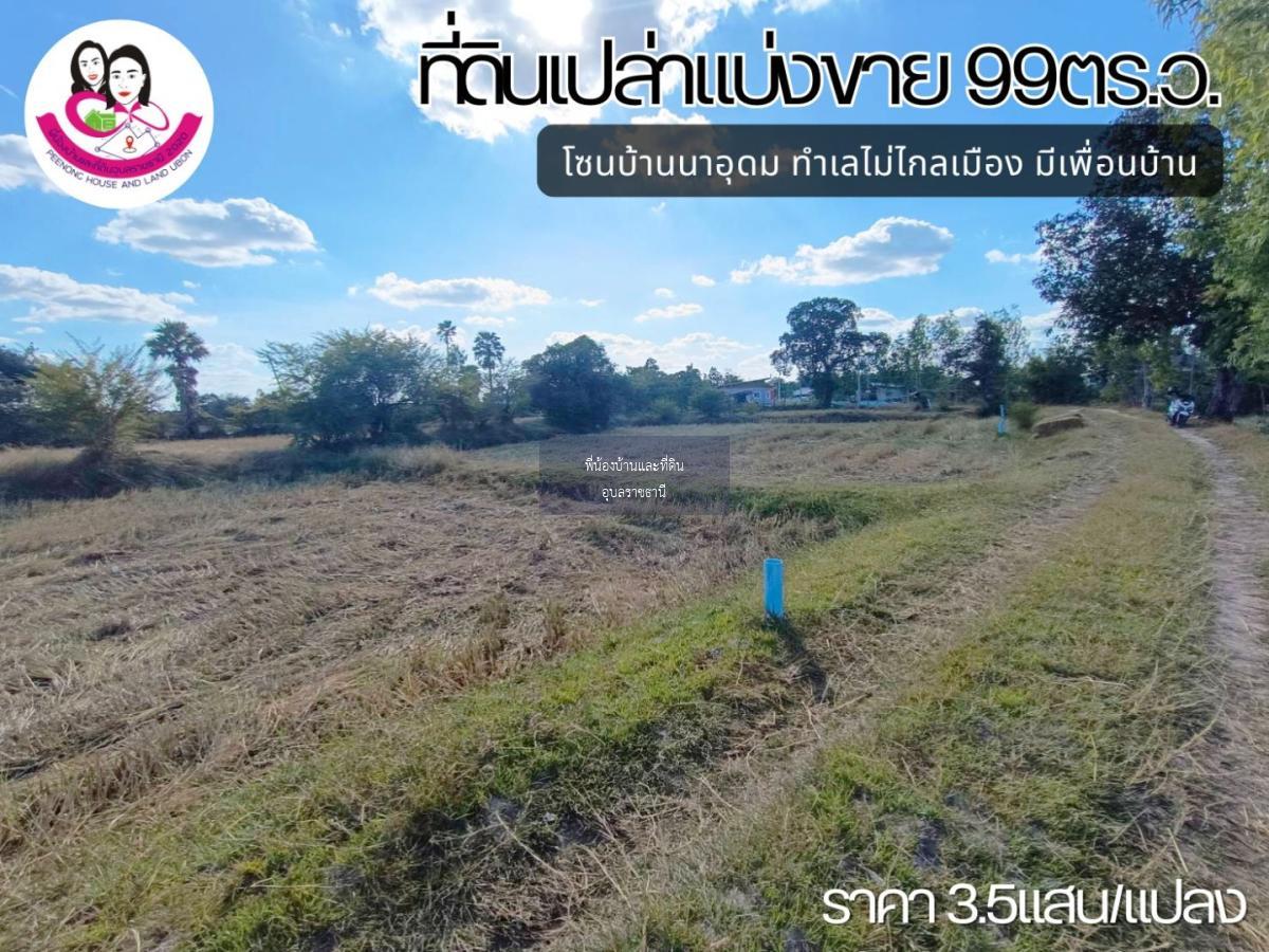 ที่ดินเปล่าแบ่งขาย โซนบ้านนาอุดม