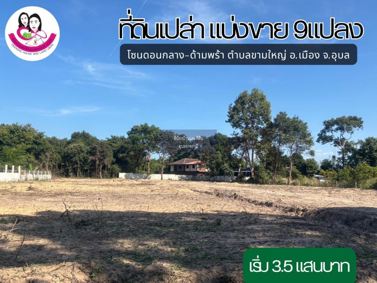 ที่ดิน เขตตำบลขามใหญ่. อำเภอเมือง ฝั่งโชว์รูมรถยนต์