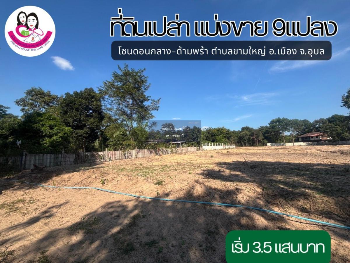 ที่ดิน เขตตำบลขามใหญ่. อำเภอเมือง ฝั่งโชว์รูมรถยนต์