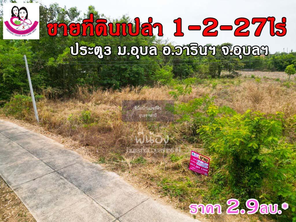 ขายที่ดินเปล่า โซนประตู3ม.อุบล 