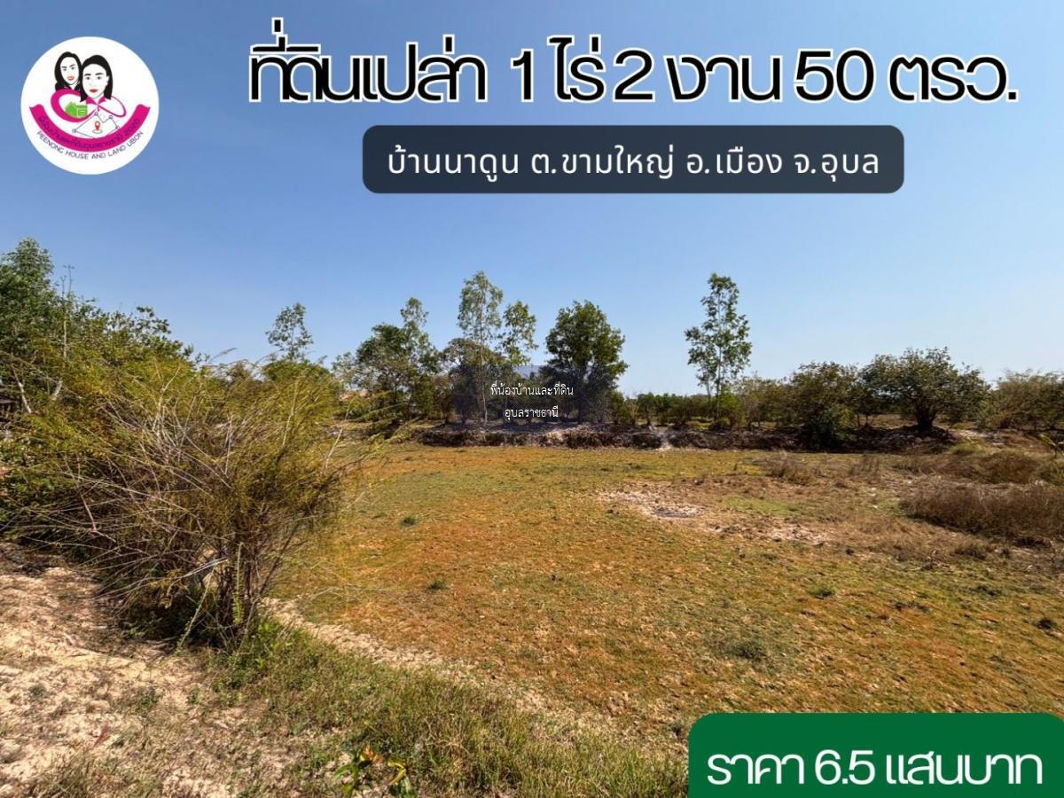 ขายที่ดิน บ้านนาดูน ต.ขามใหญ่ อ.เมือง จ.อุบล