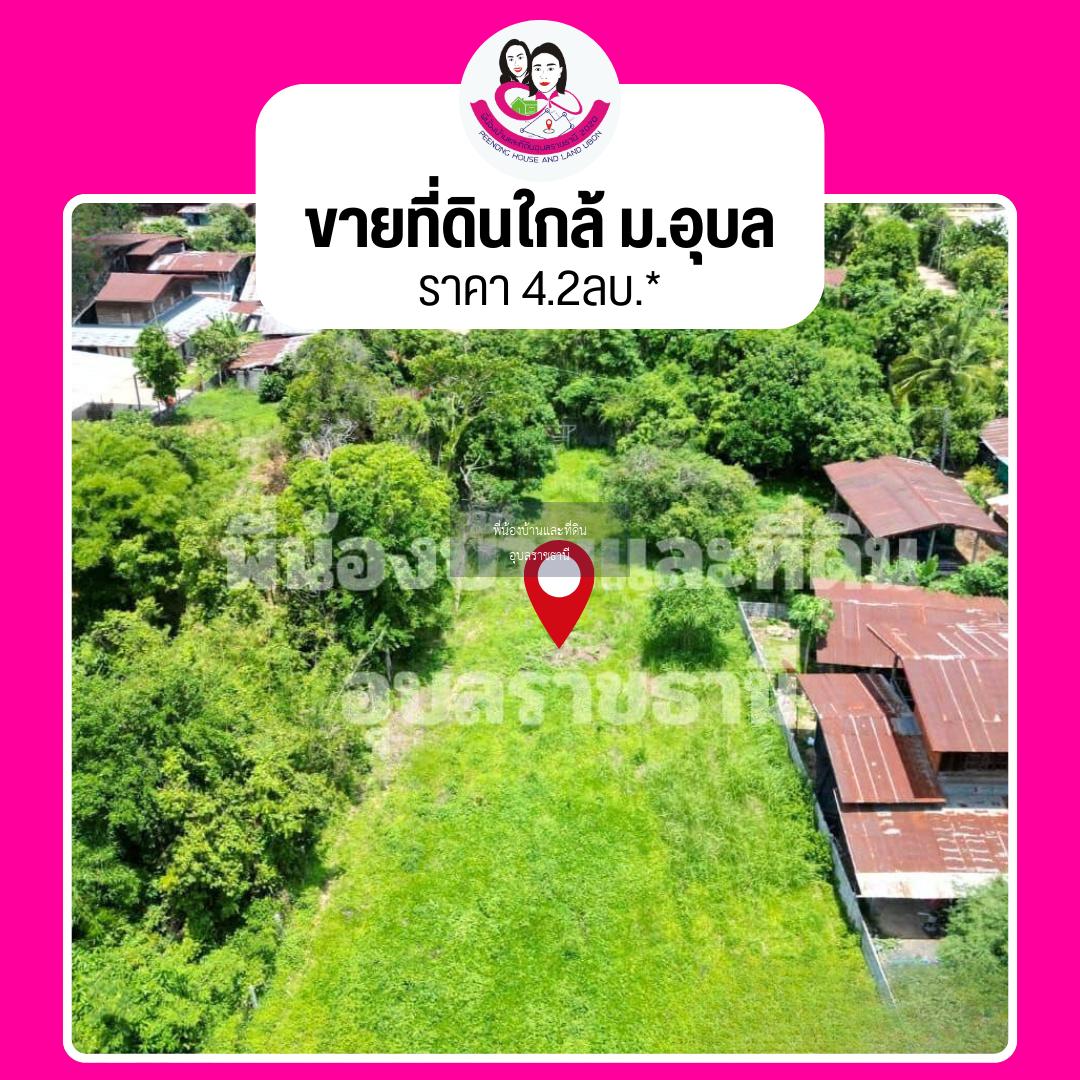 ขายที่ดินเปล่า-หลังวิทยาลัยสาธารณสุขสิรินธร - มหาวิทยาลัยอุบลราชธานี 