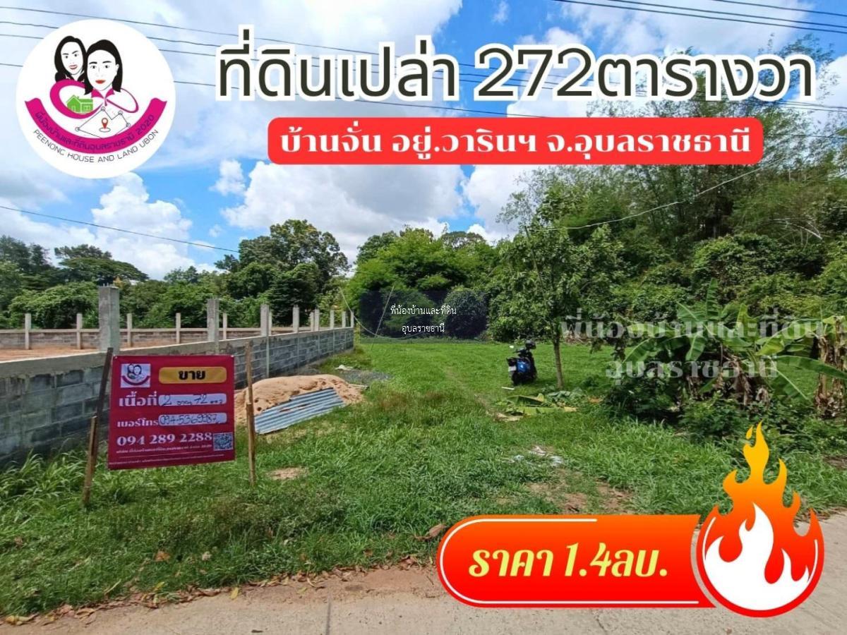 ขายที่ดินโซนบ้านจั่น ขนาด 272 ตารางวา