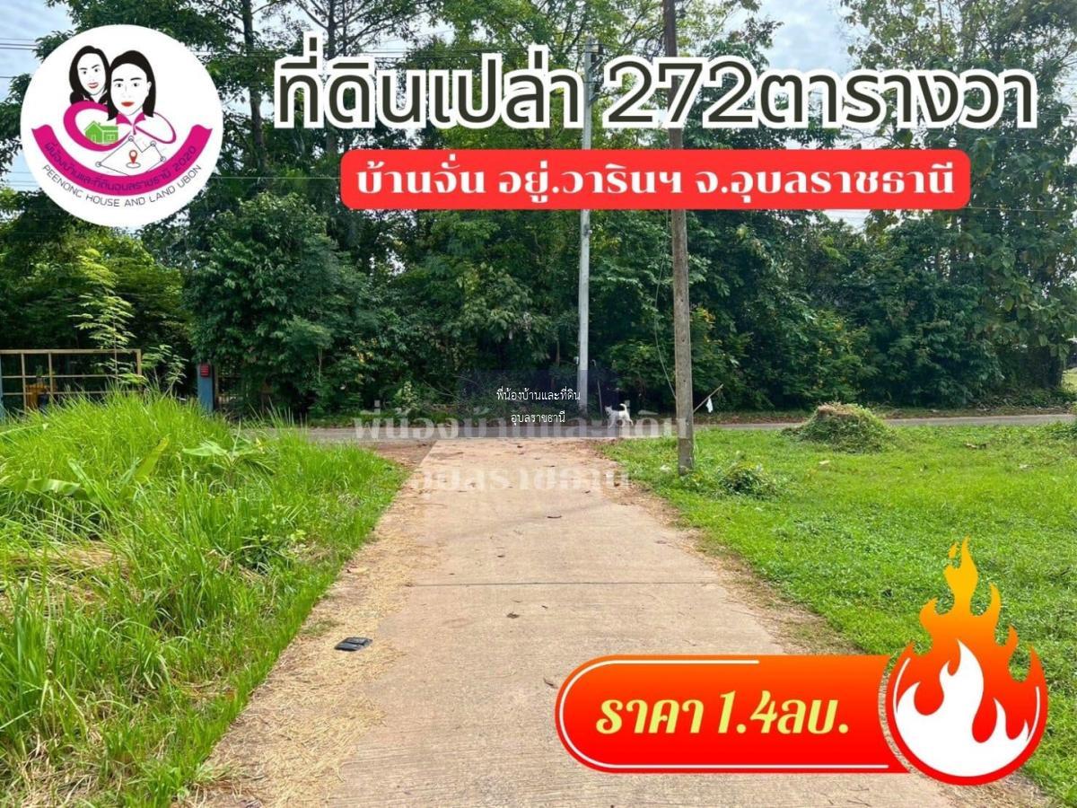 ขายที่ดินโซนบ้านจั่น ขนาด 272 ตารางวา