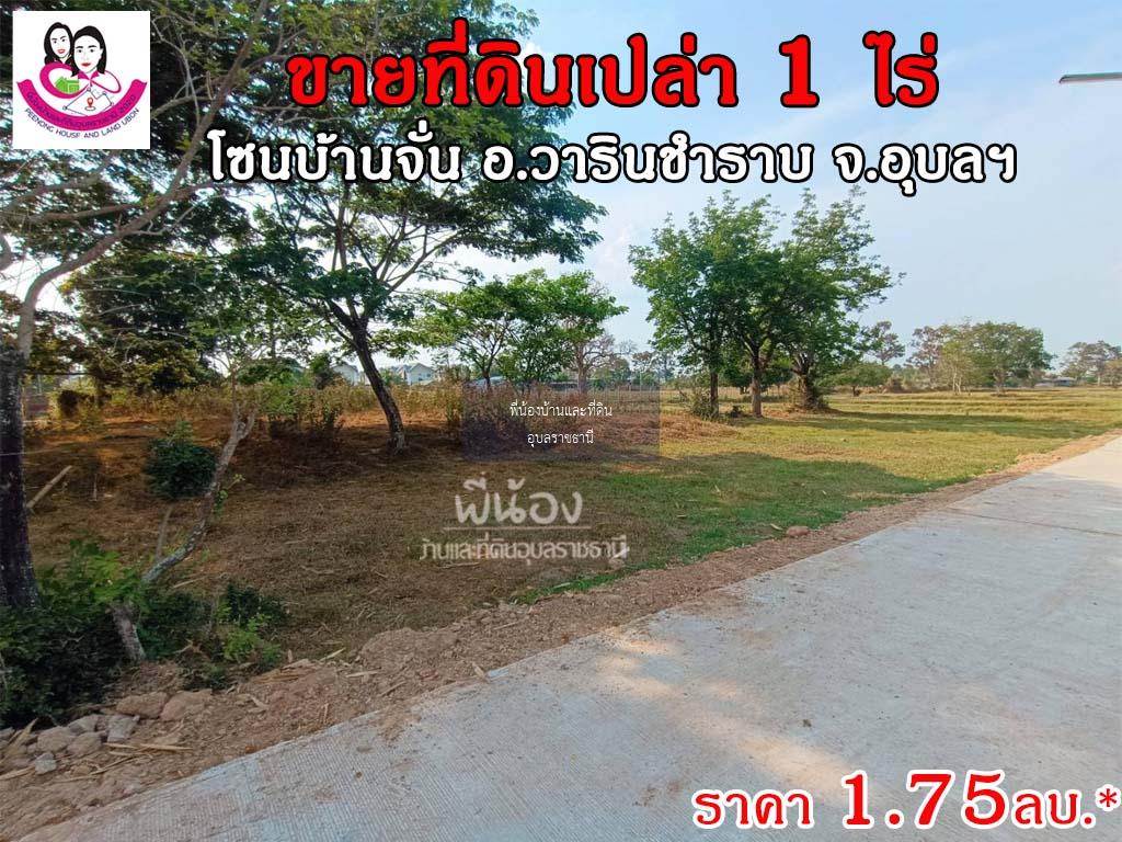 ขายที่ดินโซนบ้านจั่น ขนาด 1ไร่ เข้าถนนข้างหมู่บ้านสาริน-บ้านจั่น เขตชุมชน อ.วาริน