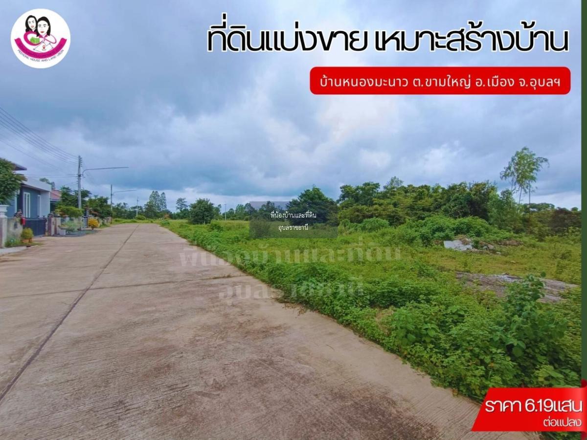 ที่ดินแบ่งขาย 12แปลง เหมาะสร้างบ้านพักอาศัย