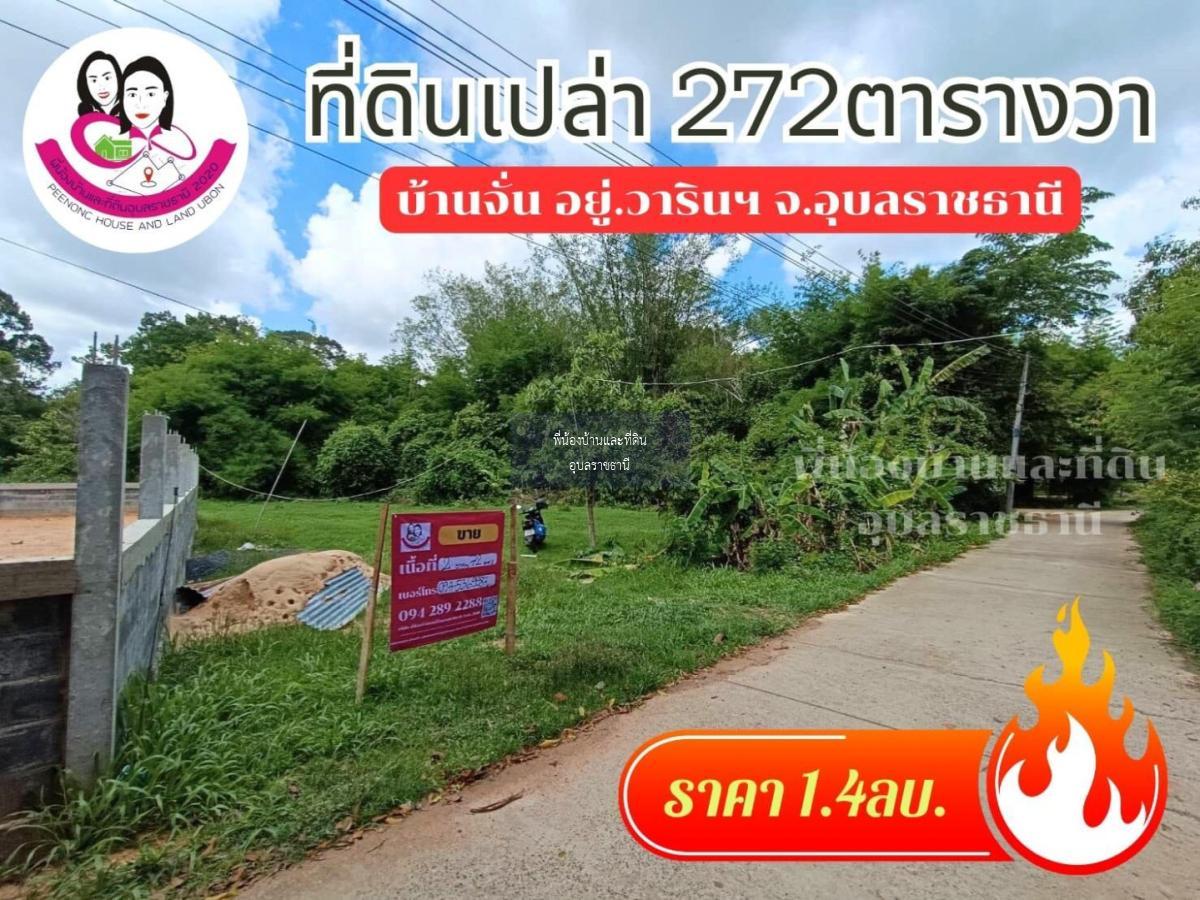 ขายที่ดินโซนบ้านจั่น ขนาด 272 ตารางวา