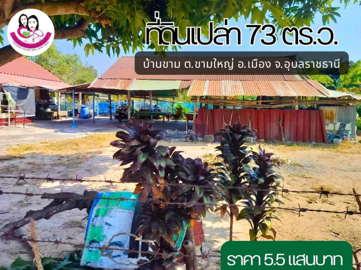 ขายที่ดินเปล่า (ไม่รวมโครงสร้าง) โซนบ้านขาม