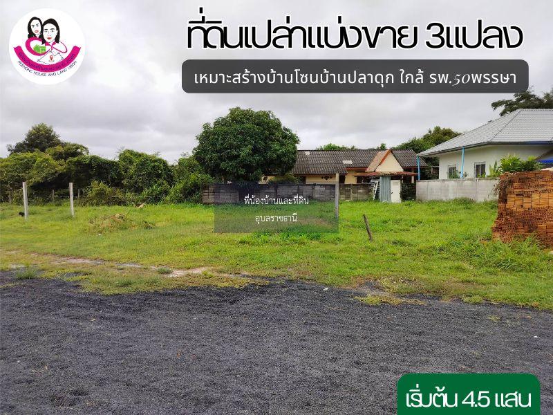 ที่ดินเปล่าแบ่งขาย 3แปลง เหมาะสร้างบ้านพักอาศัย ใกล้ตลาดสันติสุข2