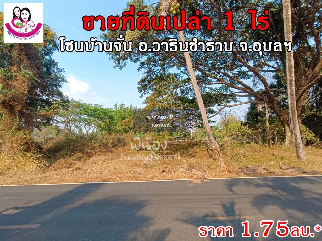 ขายที่ดินโซนบ้านจั่น ขนาด 1ไร่ เข้าถนนข้างหมู่บ้านสาริน-บ้านจั่น เขตชุมชน อ.วาริน