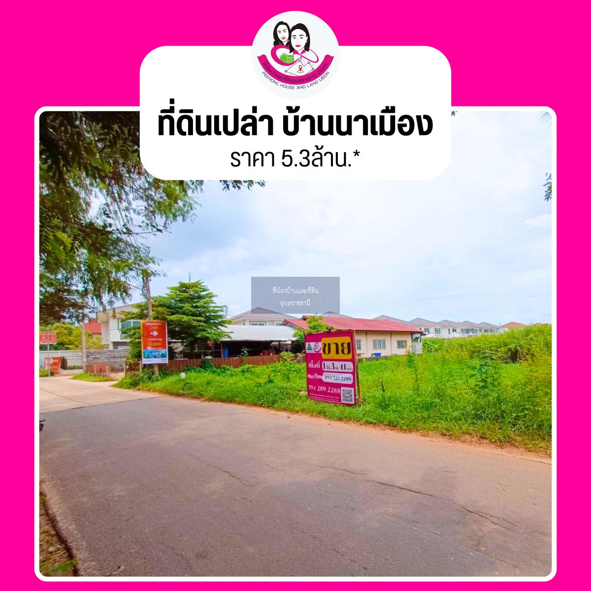 ขายที่ดิน โซนบ้านตำแย-นาเมือง เหมาะทำบ้านพักอาศัยหรือโครงการจัดสรร