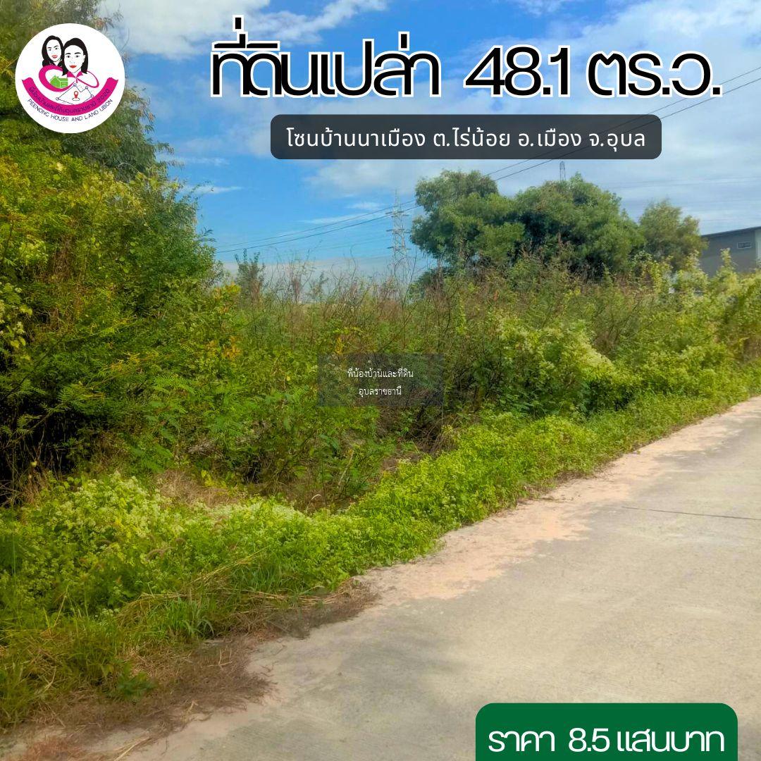 ขายที่ดินเปล่า พิกัดบ้านนาเมือง ตำบลไร่น้อย อำเภอเมือง จังหวัดอุบล