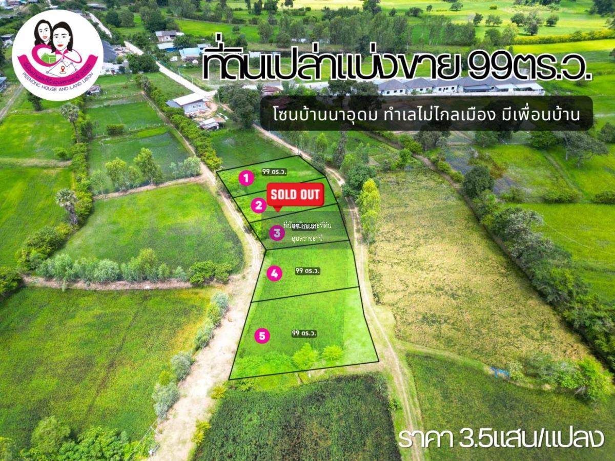 ที่ดินเปล่าแบ่งขาย โซนบ้านนาอุดม