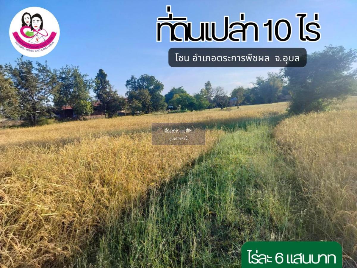 ที่ดินแปลงสวย เนื้อที่ 10ไร่ โซนตระการพืชผล จังหวัดอุบลราชธานี