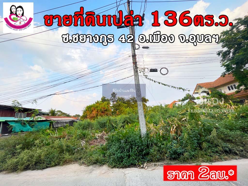 ขายที่ดินเปล่า (ในซอยมอเตอร์ไบค์) ซอยชยางกูร42 