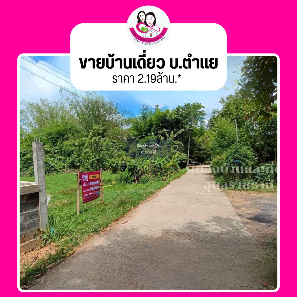 ขายที่ดินโซนบ้านจั่น ขนาด 272 ตารางวา