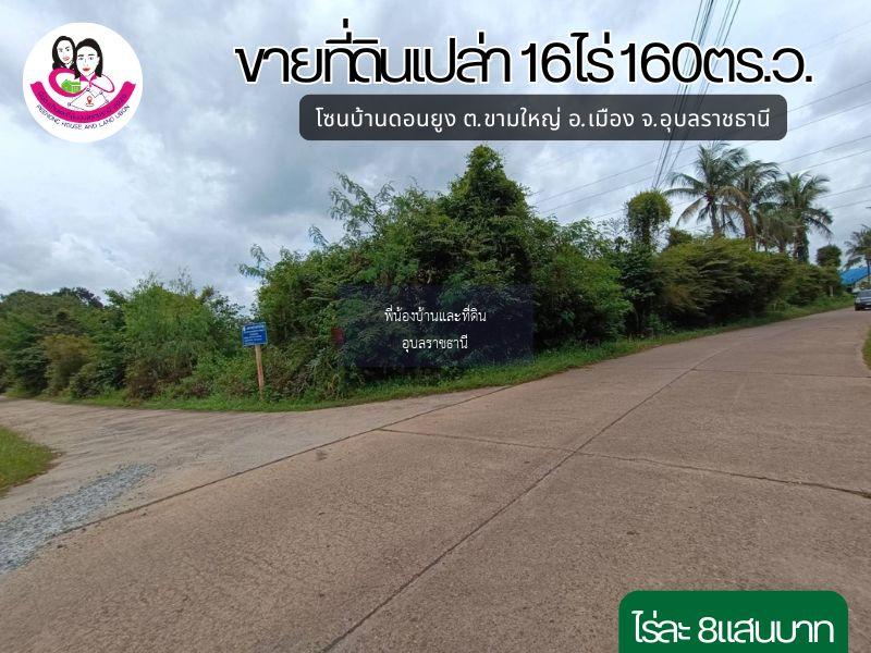  ขายที่ดินเปล่า โซนบ้านดอนยุง